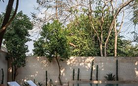 Casona los Cedros